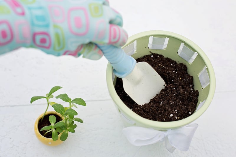 Vertical Gardening